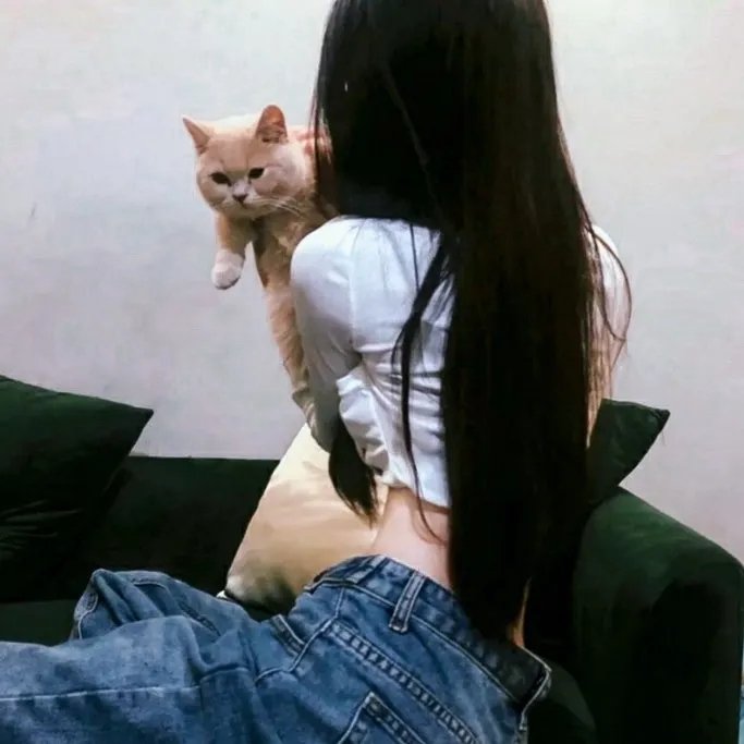 雷射鹰 在线观看